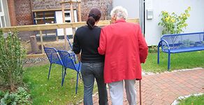 Eine Pusteblume in der Abenddämmerung.